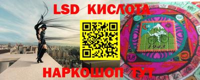 прущие грибы Можга