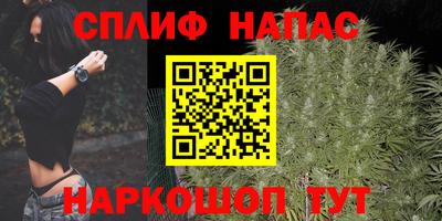 амф Моздок