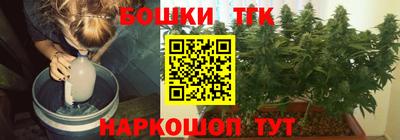 прущие грибы Можга