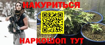 прущие грибы Можга