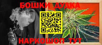 прущие грибы Можга