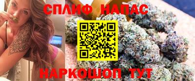 прущие грибы Можга